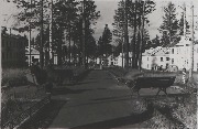16. Бульвар проспекта имени Сталина