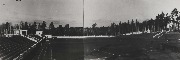 51. Стадион в парке. Общий вид
