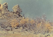 SKMBT_C36017082412280_0002.jpg
